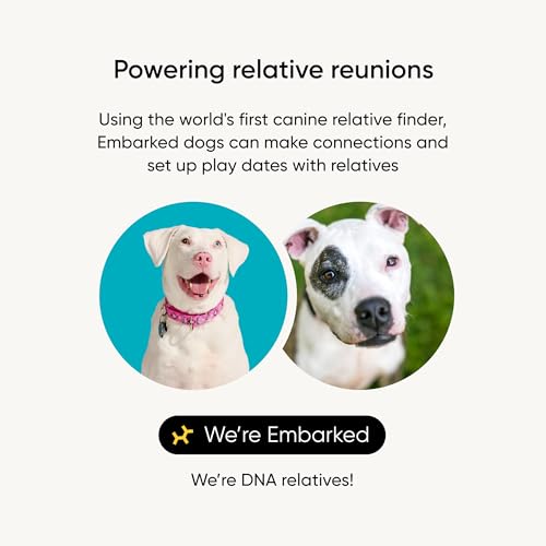 Embark Breed Identification Kit - Most Accurate Dog DNA Testing Kit - 99% Breed Ancestry Accuracy for Mixed Breed Dogs - Plus Relative Finder & Family Tree - Image 4