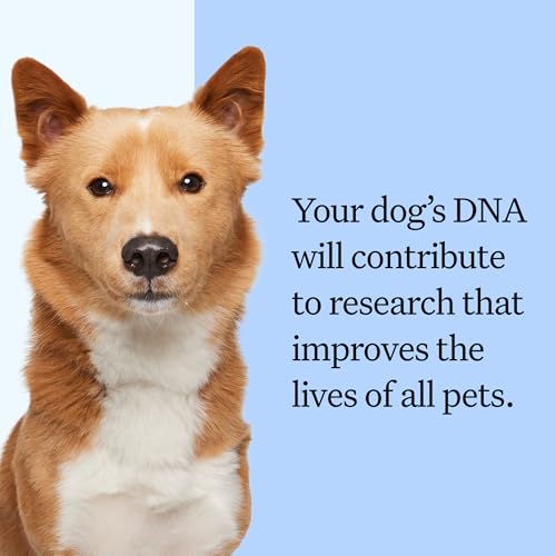 Wisdom Panel Breed Discovery Dog DNA Kit: Most Accurate Dog Breed Identification, Test for 365+ Breeds, MDR1 Health Test, Ancestry, Relatives - Image 6