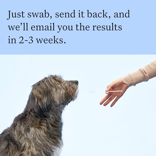 Wisdom Panel Breed Discovery Dog DNA Kit: Most Accurate Dog Breed Identification, Test for 365+ Breeds, MDR1 Health Test, Ancestry, Relatives - Image 7