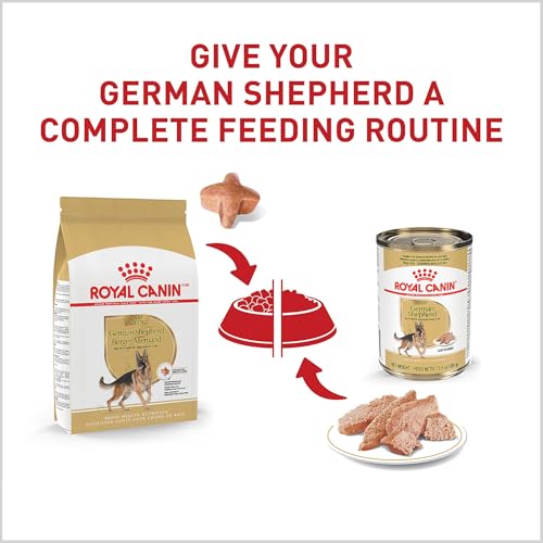 Royal Canin Breed Health Nutrition German Shepherd Adult Dry Dog Food, 30 lb Bag - Image 6