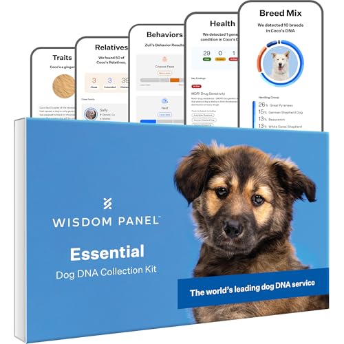 Wisdom Panel Essential Dog DNA Kit: Most Accurate Test for 365+ Breeds, 30 Genetic Health Conditions, 50+ Traits, Relatives, Ancestry - 1 Pack - Image 2