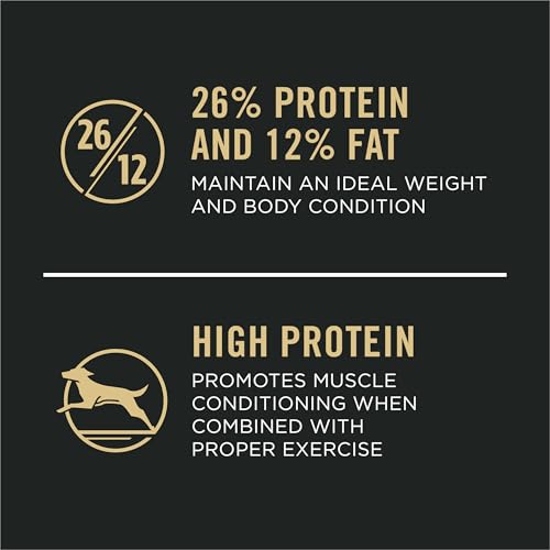 Purina Pro Plan Joint Health for Dogs, Large Breed Dog Food Dry, Shredded Blend Chicken & Rice Formula - 34 lb. Bag - Image 3