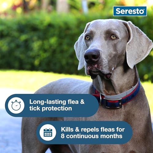 Seresto Large Dog Vet-Recommended Flea & Tick Treatment & Prevention Collar for Dogs Over 18 lbs. | 2-Pack - Image 8