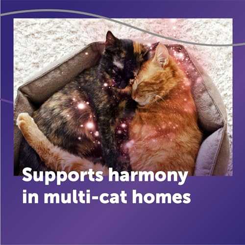 FELIWAY Optimum 6 x 30 Day Cat Calming Refills for Pheromone Diffuser, 6 x 48ml Value Pack - Helps Reduce Common Signs of Stress in Cats & Kittens, Enhanced Calming - Image 5