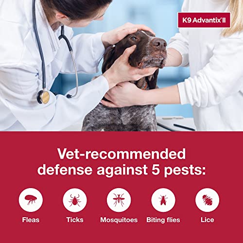 K9 Advantix II XL Dog Vet-Recommended Flea, Tick & Mosquito Treatment & Prevention | Dogs Over 55 lbs. | 6-Mo Supply - Image 7