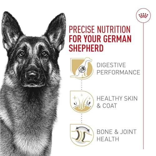 Royal Canin Breed Health Nutrition German Shepherd Adult Dry Dog Food, 30 lb Bag - Image 4