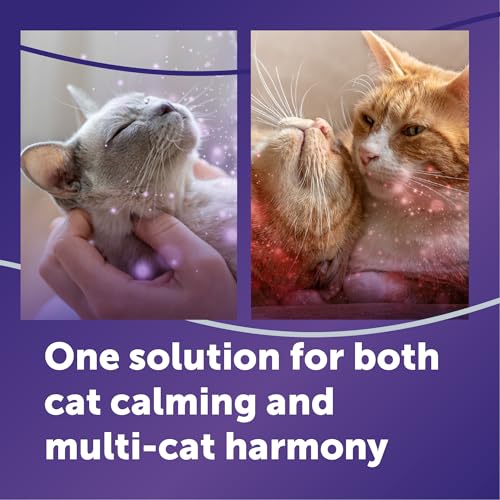FELIWAY Optimum 6 x 30 Day Cat Calming Refills for Pheromone Diffuser, 6 x 48ml Value Pack - Helps Reduce Common Signs of Stress in Cats & Kittens, Enhanced Calming - Image 3