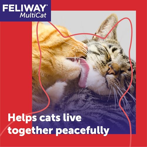 FELIWAY® MultiCat 6 x 30 Day Cat Calming Refills for Pheromone Diffuser, 6 x 48ml Value Pack- Helps Reduce Conflicts and Signs of Tension in Multi-Cat Households - Image 3