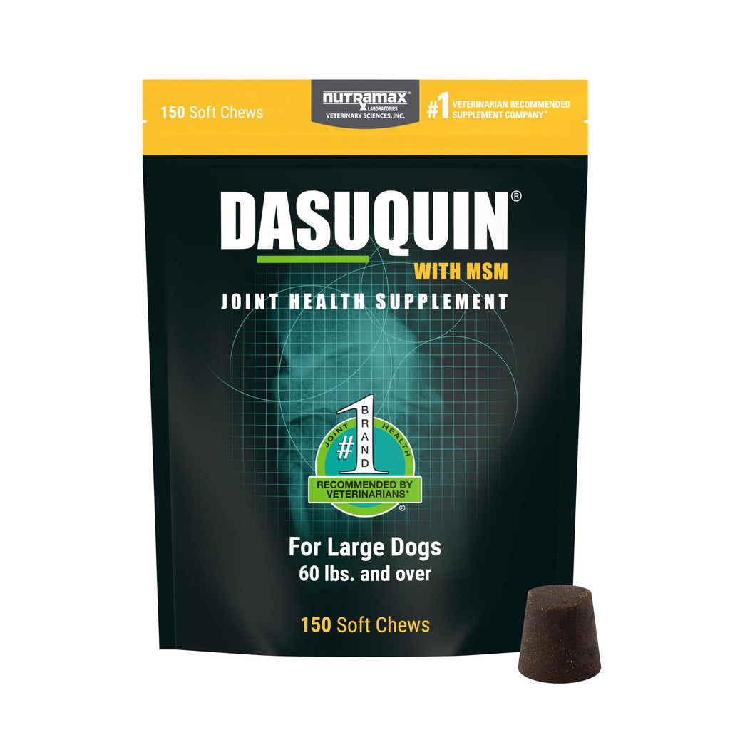 Nutramax Dasuquin for Large Dogs, Joint Health Supplement, Contains Glucosamine for Dogs, Plus Chondroitin, ASU, MSM and More, Supports Healthy Joints, Soft Chews, 150 Count - Image 1