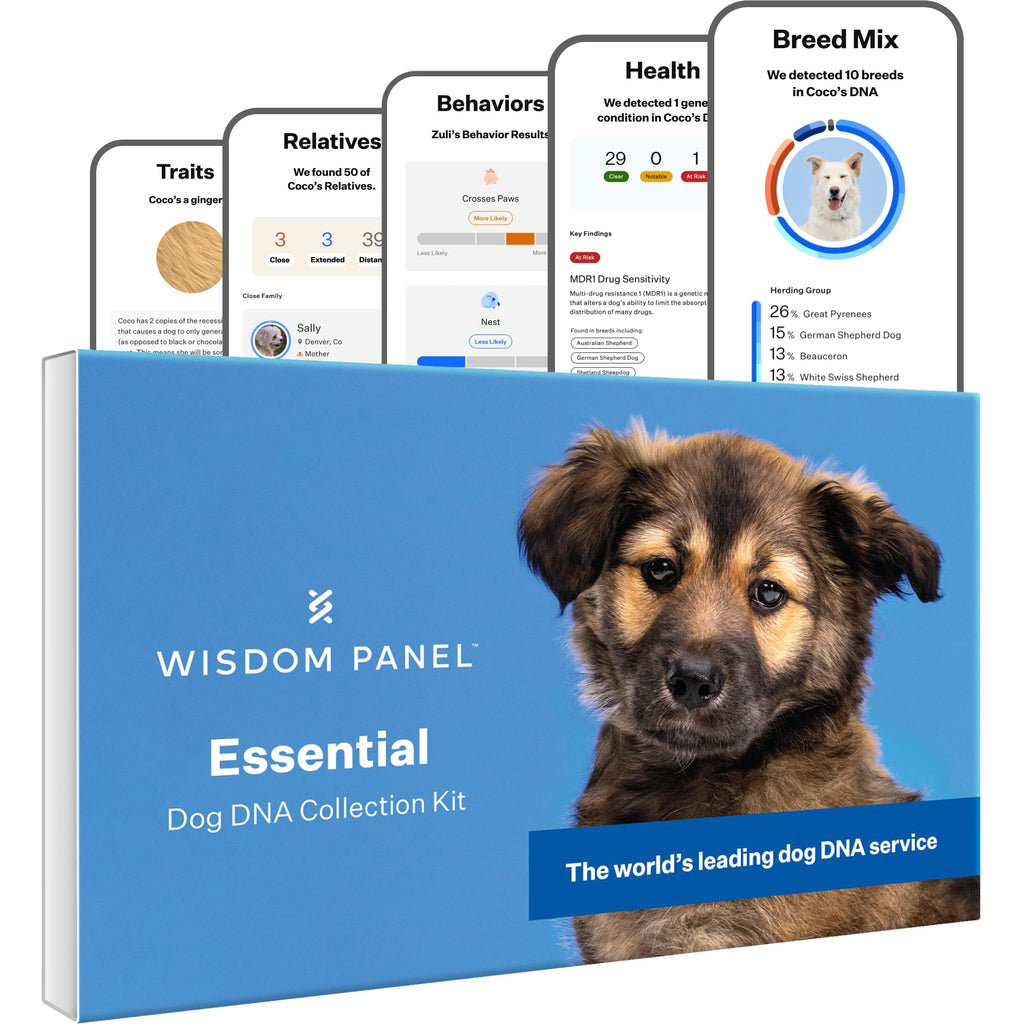 Wisdom Panel Essential Dog DNA Kit: Most Accurate Test for 365+ Breeds, 30 Genetic Health Conditions, 50+ Traits, Relatives, Ancestry - 1 Pack - Image 1